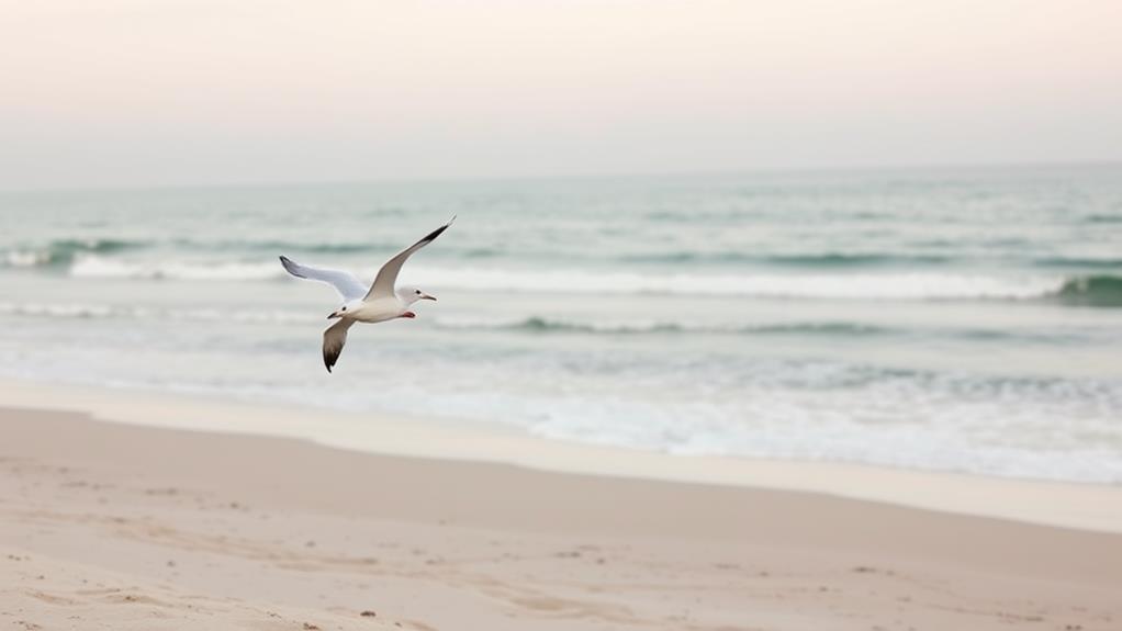 beachfront serenity awaits you