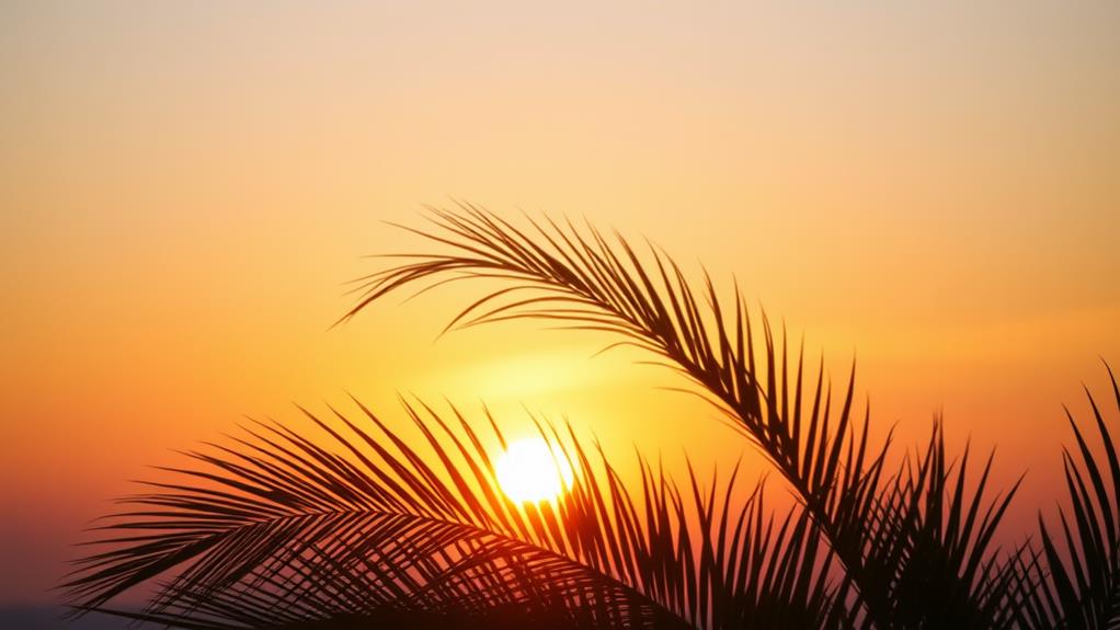 tropical sunset palm scene