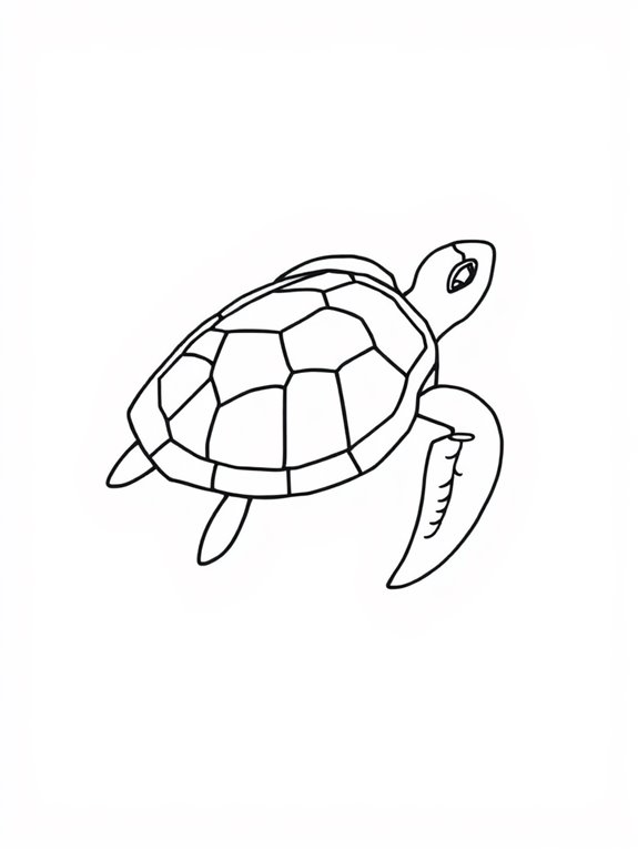 simple turtle design outline